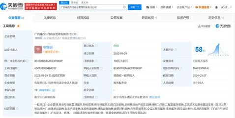 万达广场商管公司再易手 南宁项目转让与海口日用百货销售策略调整